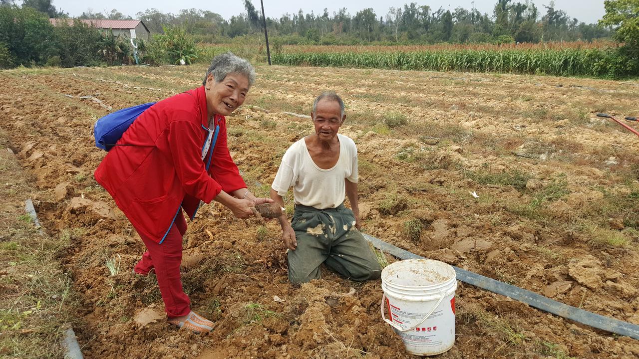 Qg Life 城中館 寵物親子釣魚人民宿 จินเฉิง ภายนอก รูปภาพ