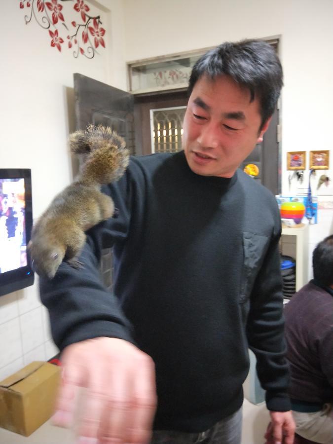 Qg Life 城中館 寵物親子釣魚人民宿 จินเฉิง ภายนอก รูปภาพ